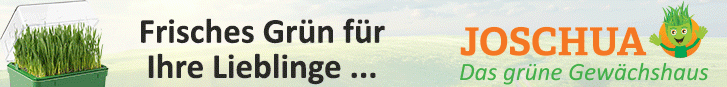 Joshua Banner Frisches Grün für Ihre Lieblinge