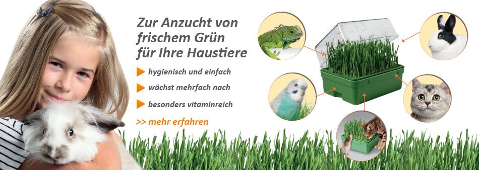 Das Gewächshaus Zur Anzucht von frischem Grün für Ihre Haustiere
- hygienisch und einfach
- wächst mehrfach nach
- besonders vitaminreich