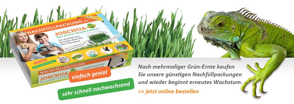 Im Online-Shop bestellen - sehr schnell nachwachsend Nach mehrmaliger Grün-Ernte kaufen Sie unsere günstigen Nachfüllpakungen und wieder beginnt neues Wachstum